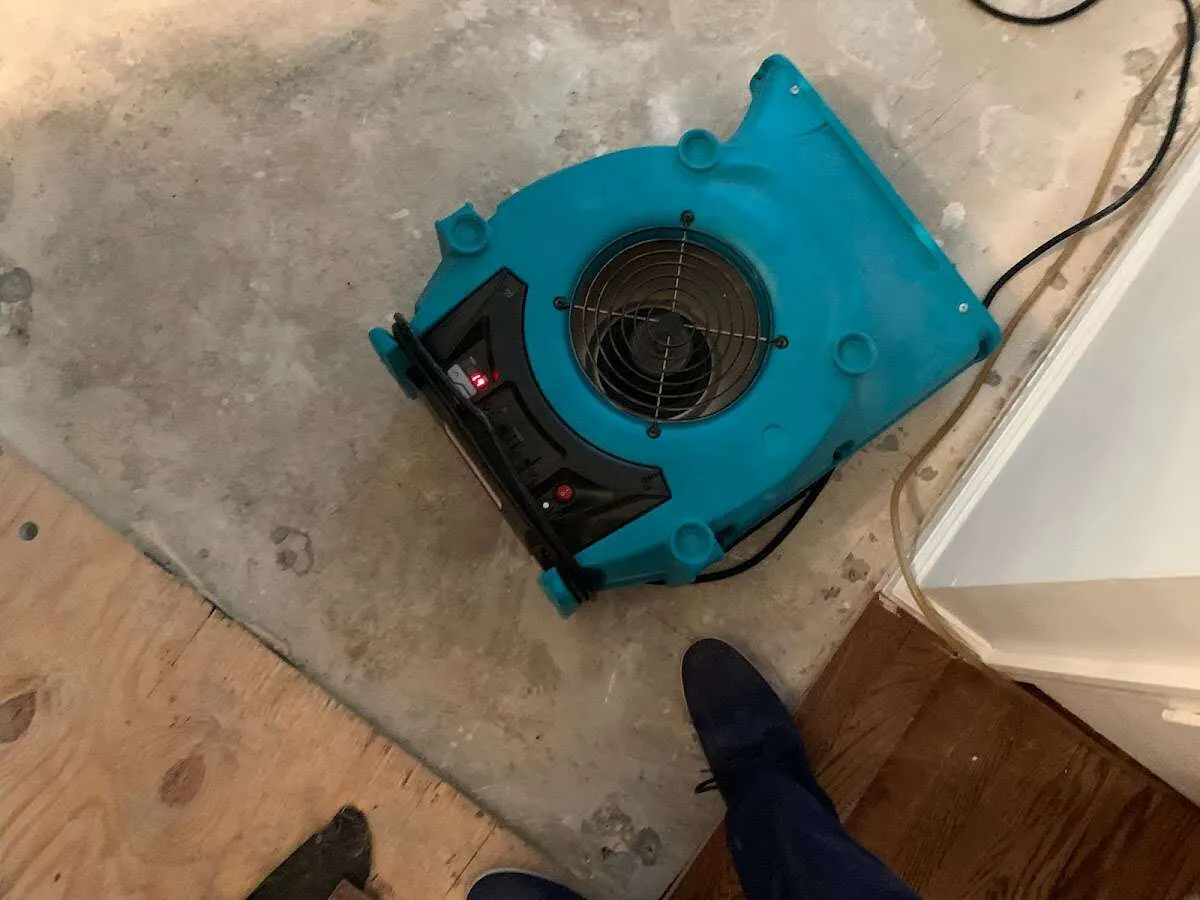 Air mover drying subfloor during Leak Detection & Repair in Bayshore Gardens